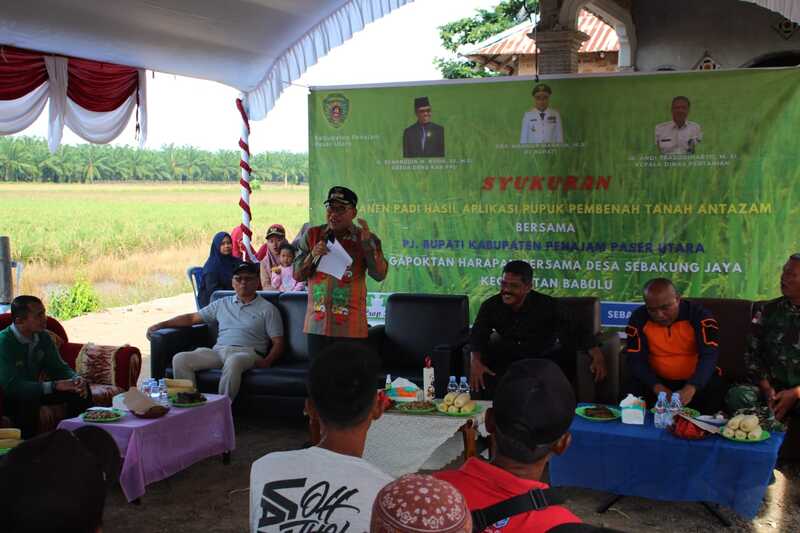 Makmur Marbun Hadiri Syukuran Panen Padi Hasil Aplikasi Pupuk Pembenah Tanah Antazam