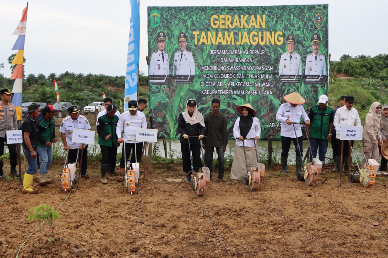 Gubernur dan Bupati PPU Ikuti Gerakan Tanam Jagung dan Panen Ikan Patin di Desa Api-Api